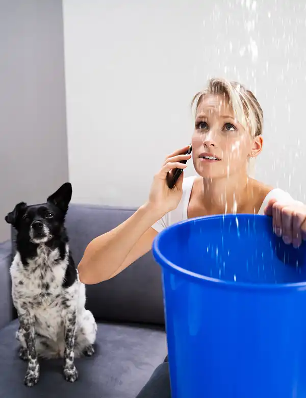 A distressed woman is holding a blue bucket under a ceiling leak while talking on the phone. A black and white dog sits on the couch beside her, looking up.